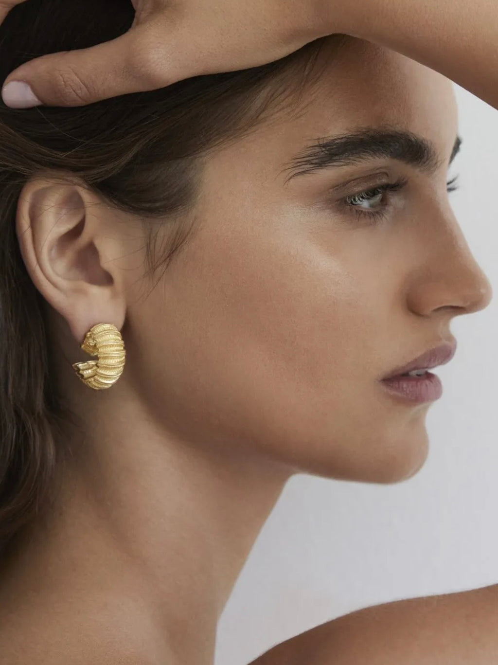 Feres Mini Hoop Earrings — Aenalia
