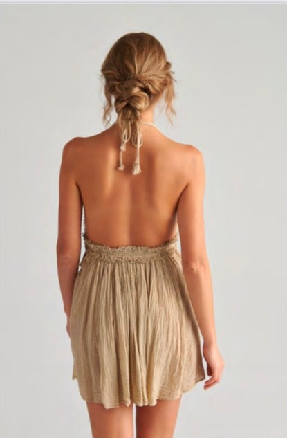 Dartemid Calypso mini dress sand back.jpg
