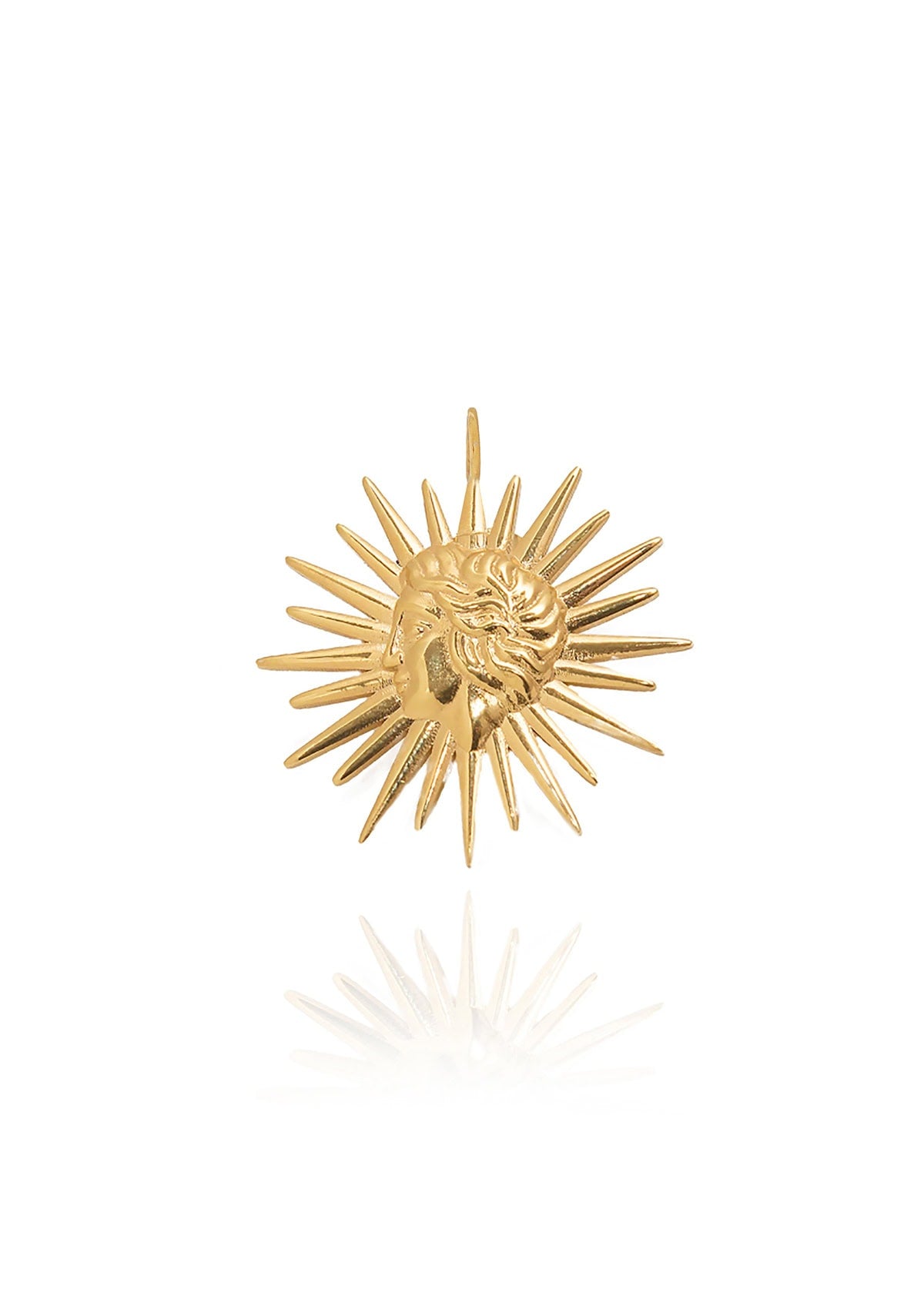 Hermina sun charm-3.JPG